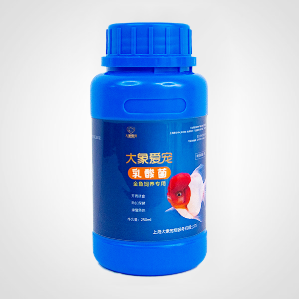 金鱼-乳酸菌（250ml）